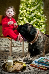 The Cookie Snatchers