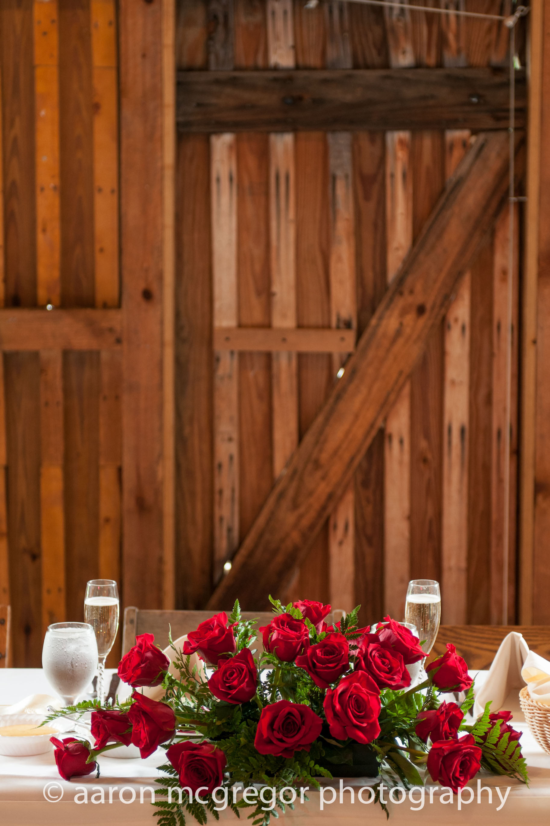 Aaron McGregor Photo-15