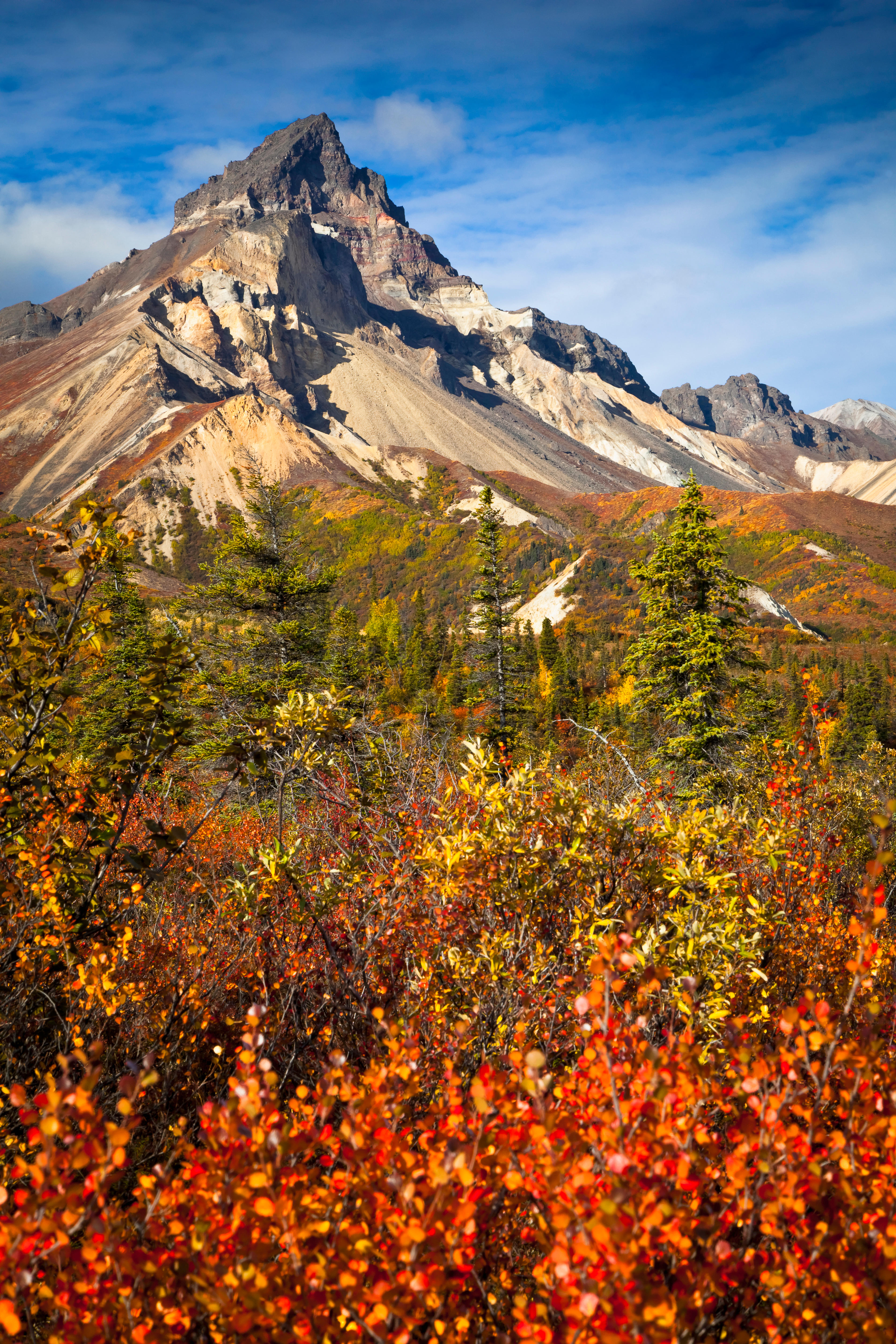 Skookum Volcano with fall colors under blue sky, Nabesna Road, Wrangell-St. Elias National Park &amp; Preserve, Southcentral Alaska